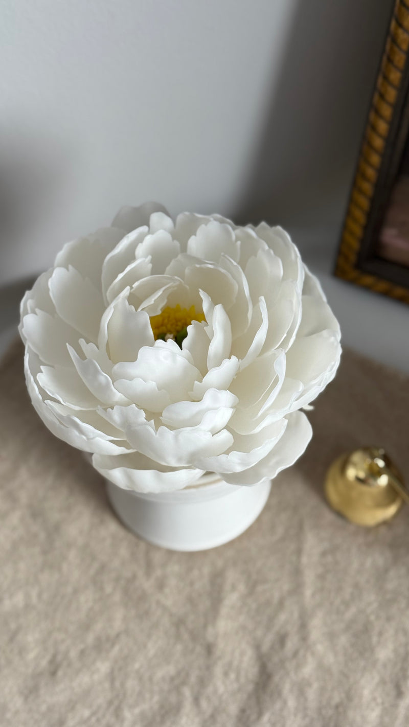Aesthetic realistic peony
