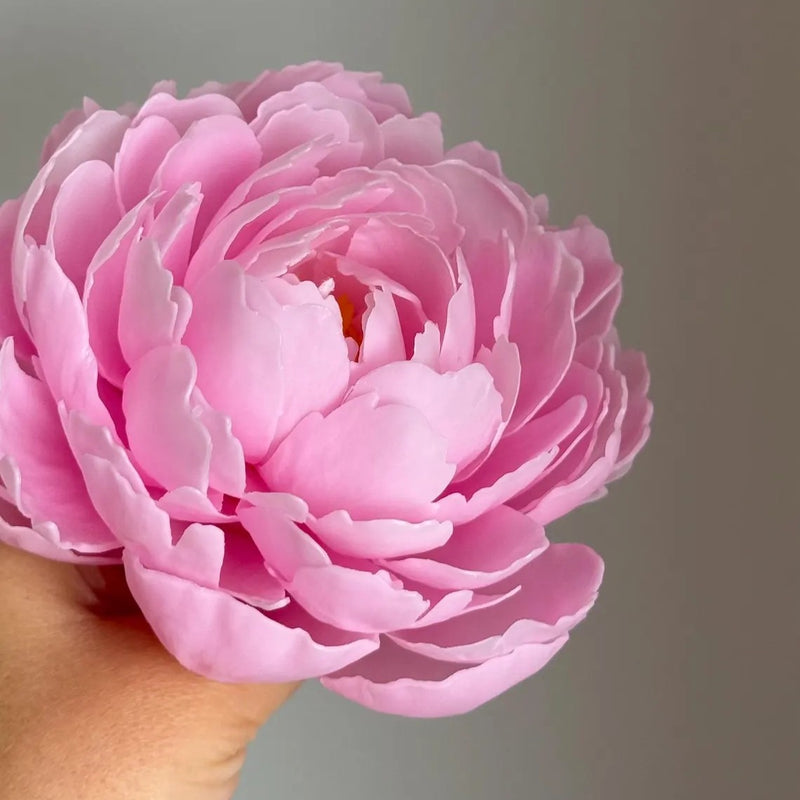 Peony Candle Gift Set | Handmade Beeswax Flower, Soy Candle, Luxury Mother Day Gift