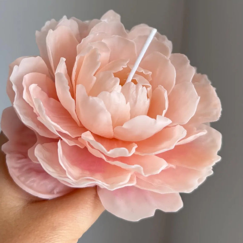 Peony Candle Gift Set | Handmade Beeswax Flower, Soy Candle, Luxury Mother Day Gift