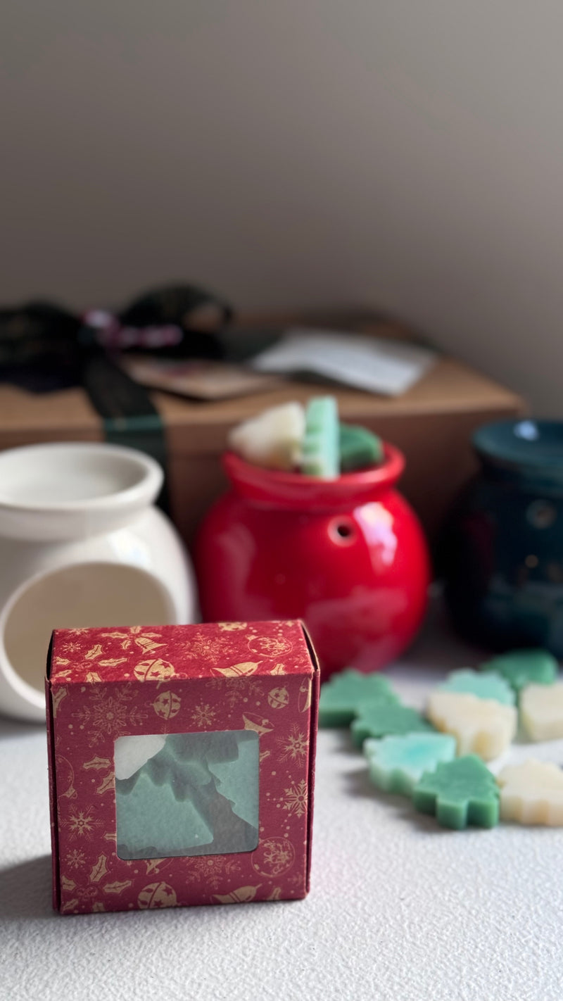 Wax melt gift set