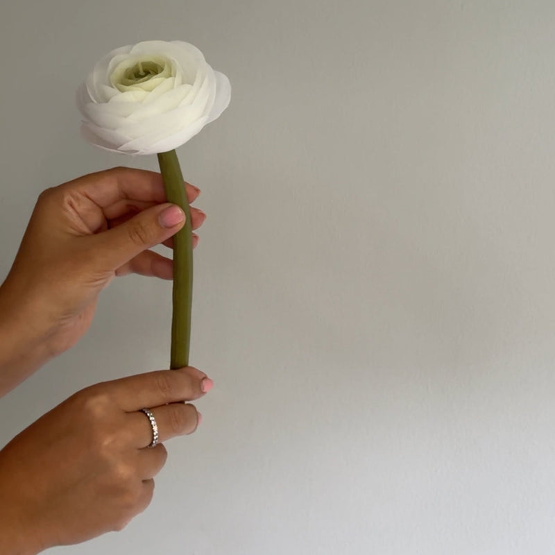 Candle-flower RANUNCULUS ON A STEM / white