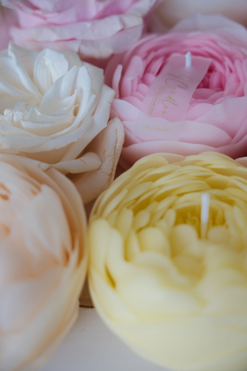 Candle-flower PEONY / yellow