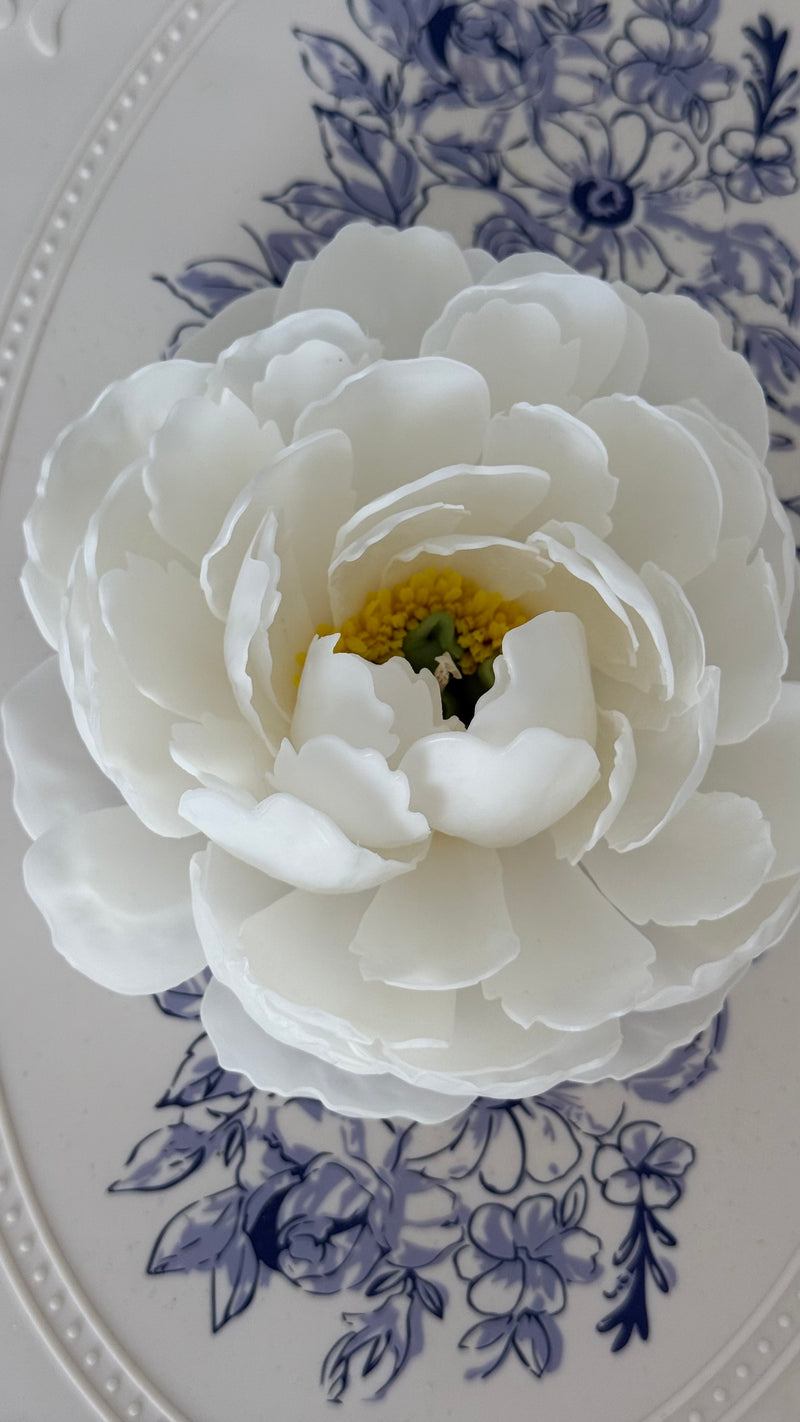 Aesthetic realistic peony