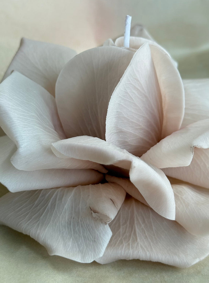 Realistic french rose candle, beeswax candle, flower candle, gift candle, unique gift, wedding gift, birthday gift, wedding Decor