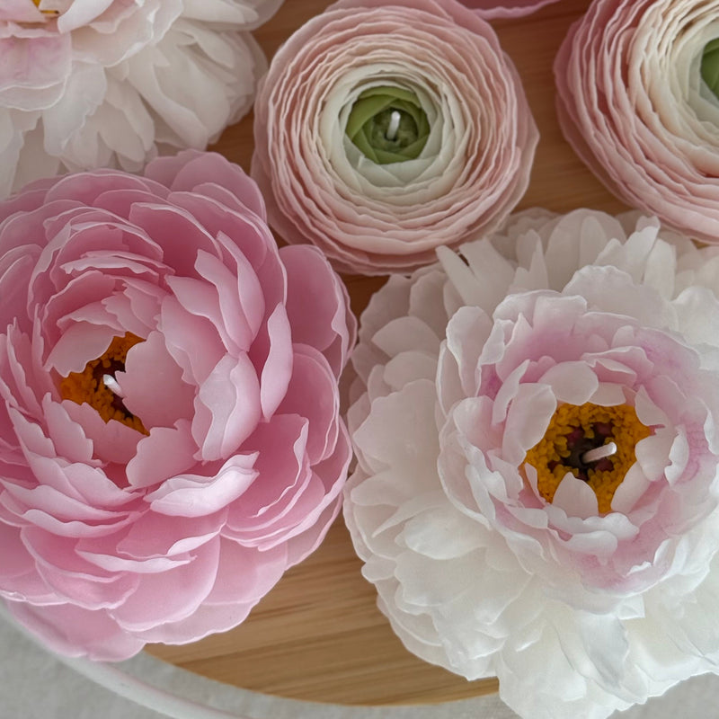Aesthetic realistic peony