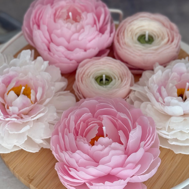 Aesthetic realistic peony