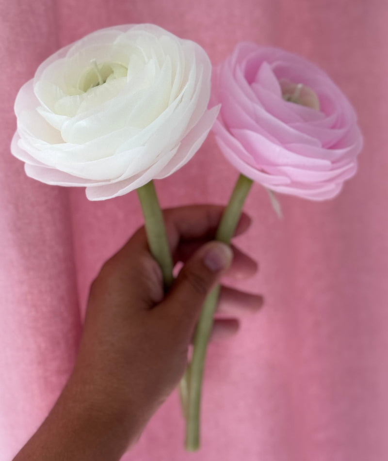 Candle-flower RANUNCULUS ON A STEM / white