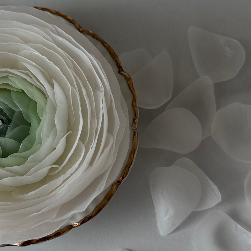 Flower candle RANUNCULUS / white pink