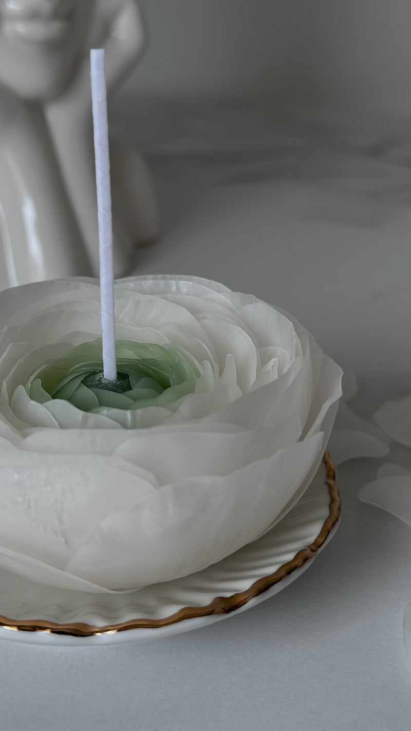 Flower candle RANUNCULUS / white pink