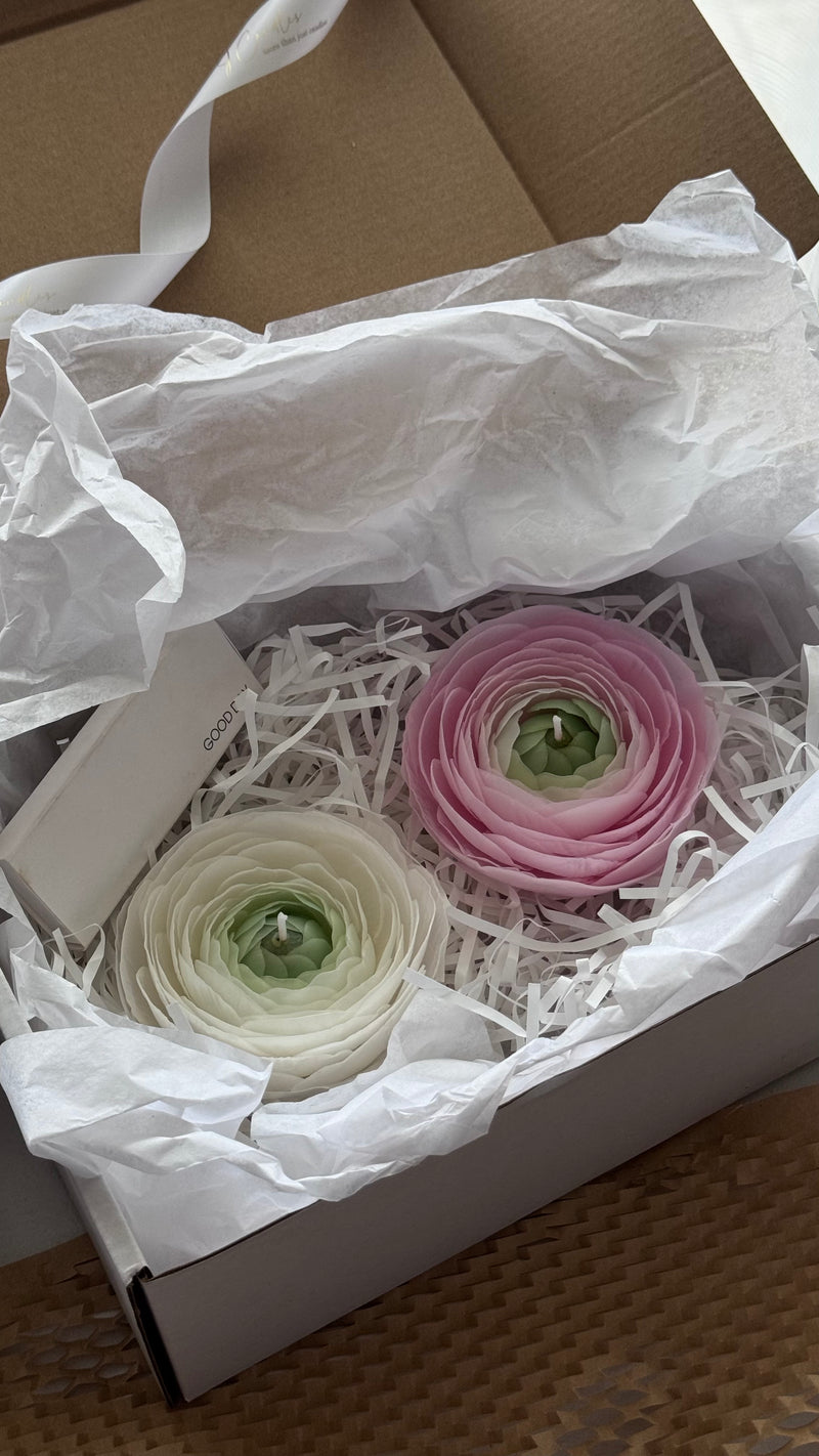 Flower candle RANUNCULUS / white pink