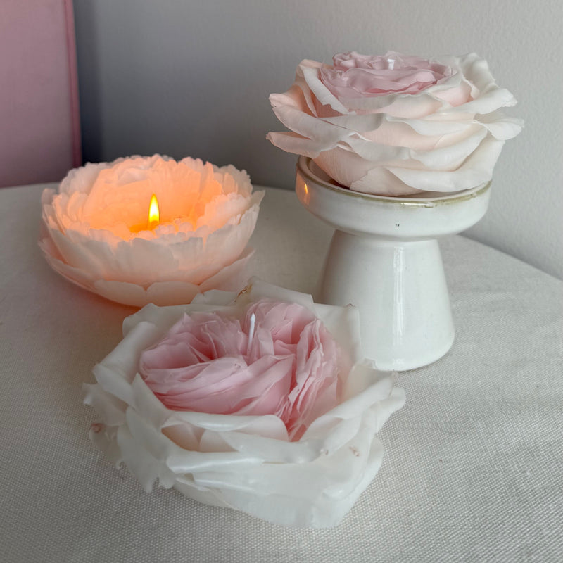 Rose white O'hara