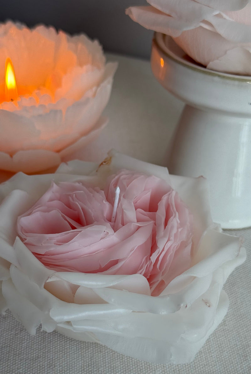 Rose white O'hara