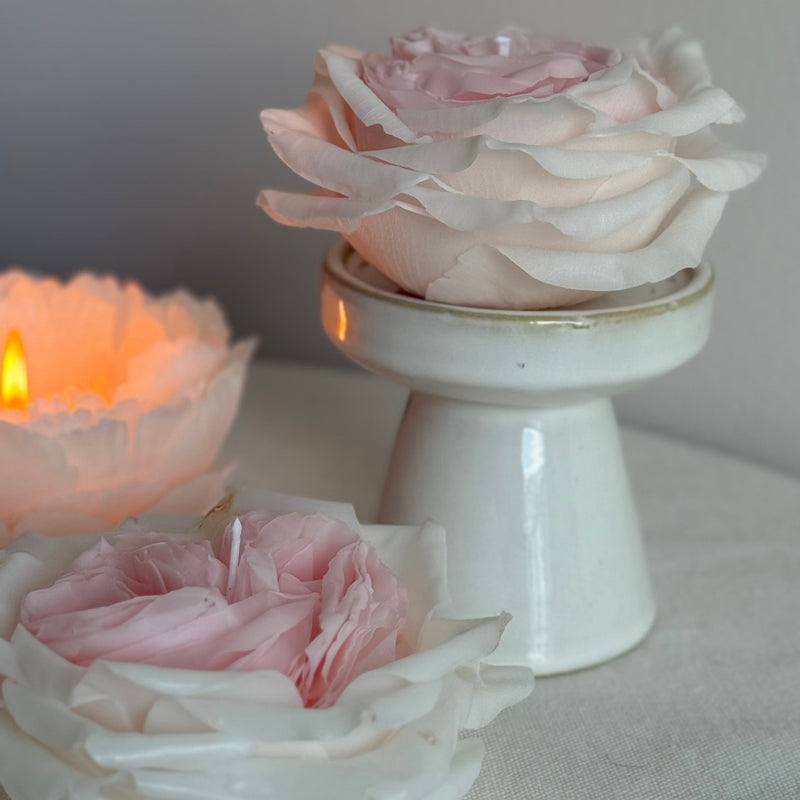 Rose white O'hara