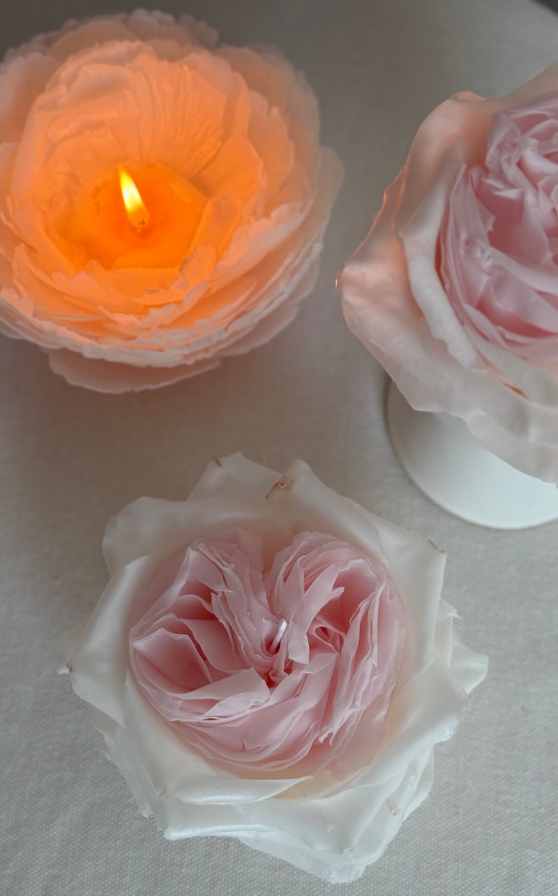 Rose white O'hara