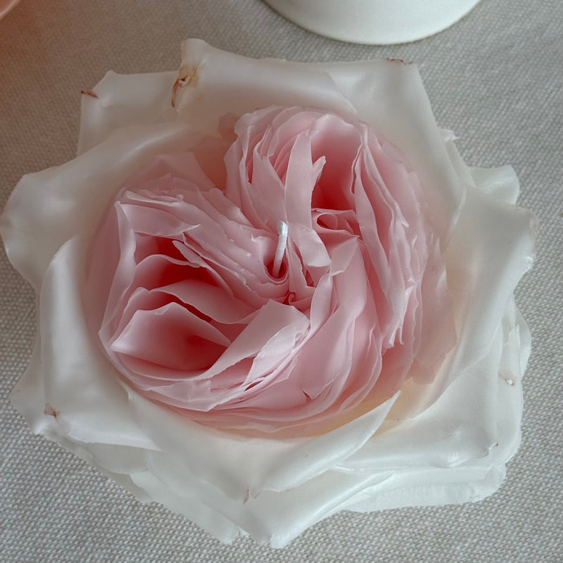 Rose white O'hara