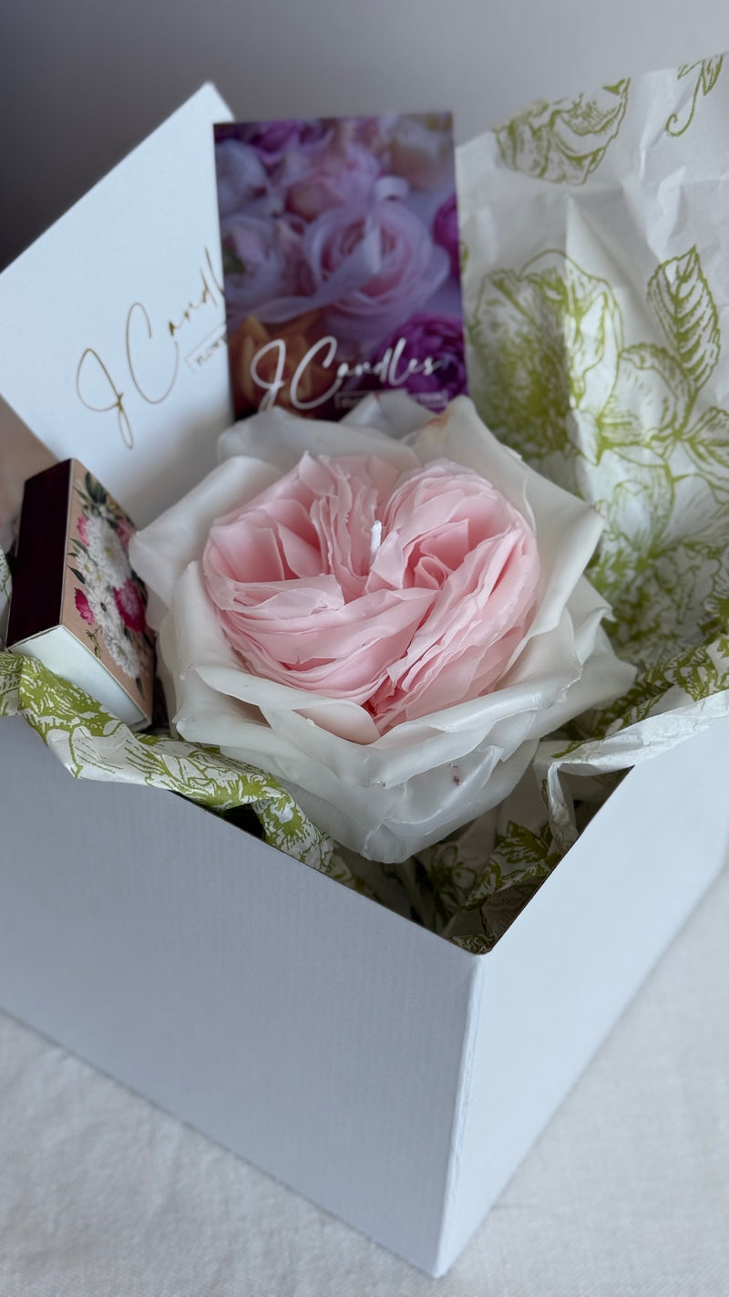 Rose white O'hara