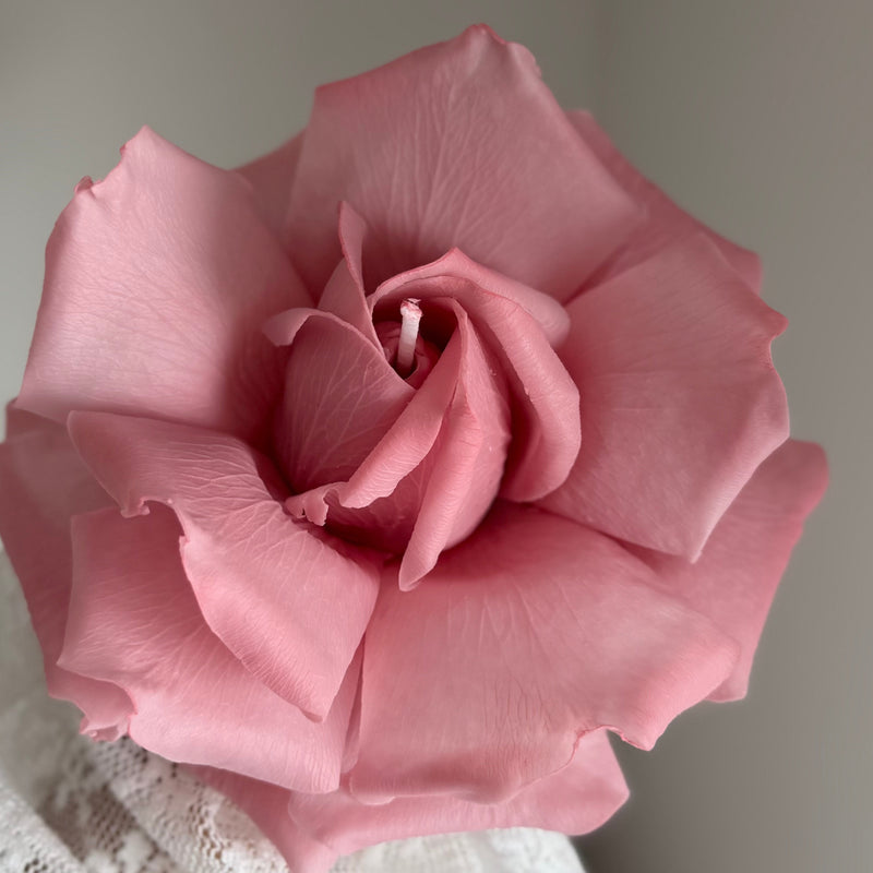 Realistic french rose candle