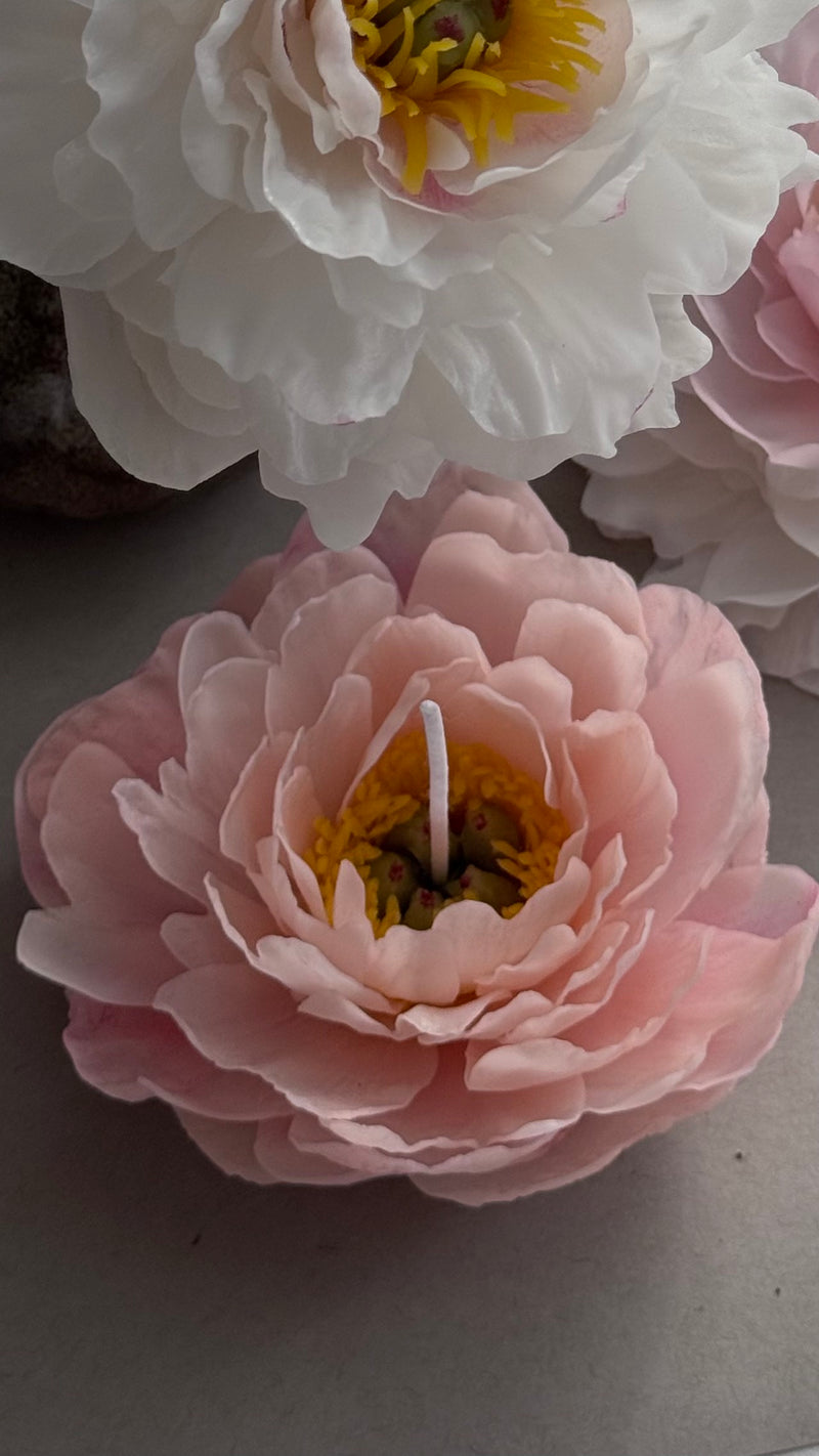 Realistic peony "coral charm"