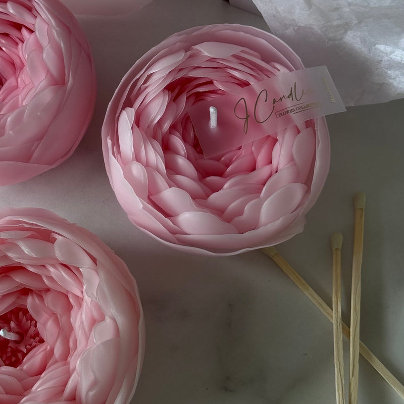 Candle-flower PEONY / pink