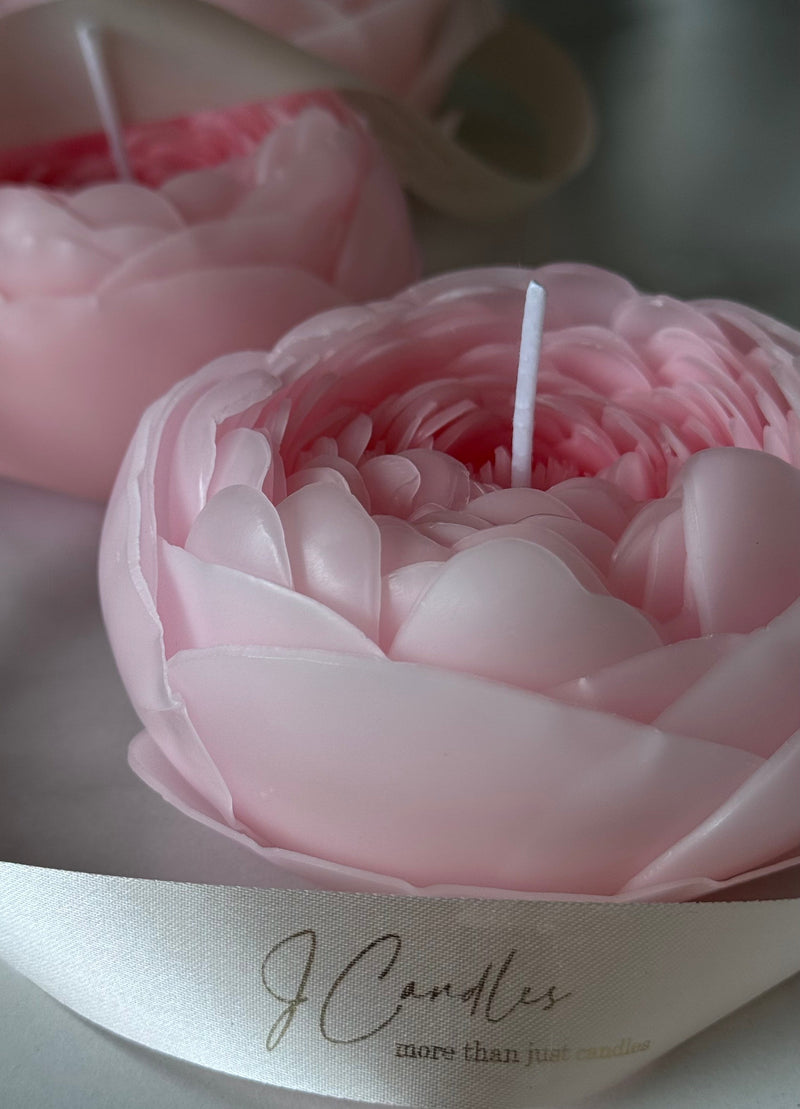 Candle-flower PEONY / pink