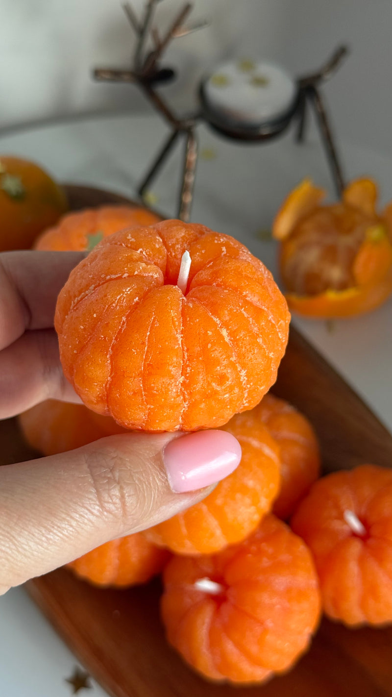 Masterclass "REALISTIC MANDARIN"