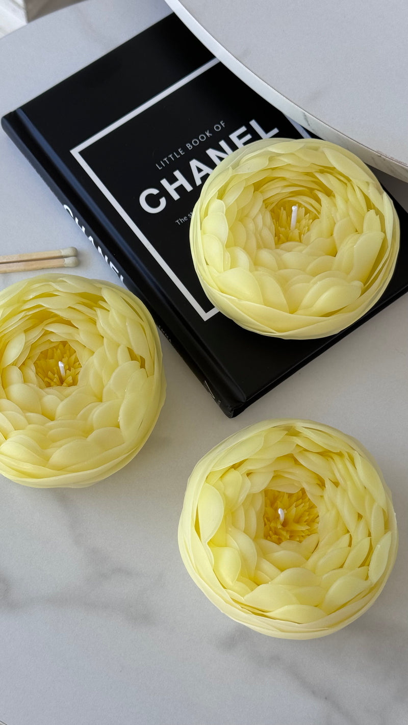 Candle-flower PEONY / yellow