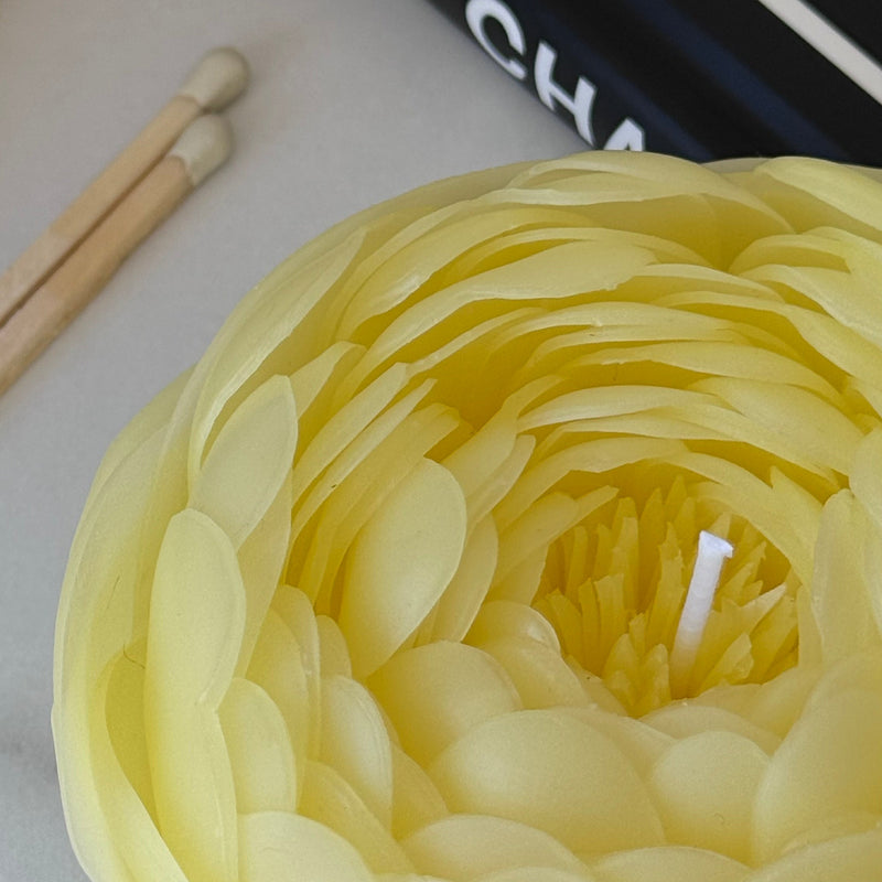 Candle-flower PEONY / yellow