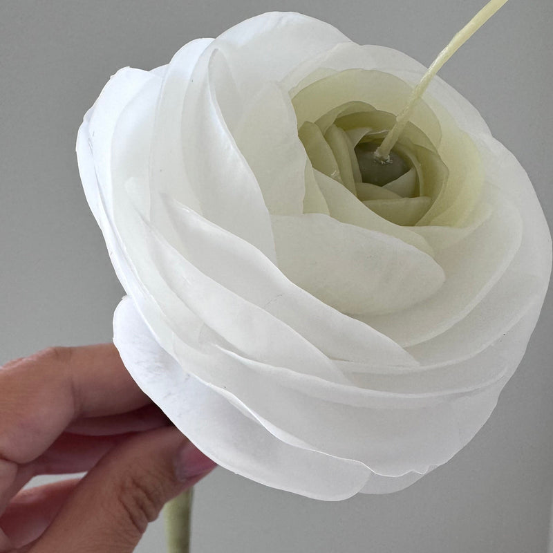 Candle-flower RANUNCULUS ON A STEM / white