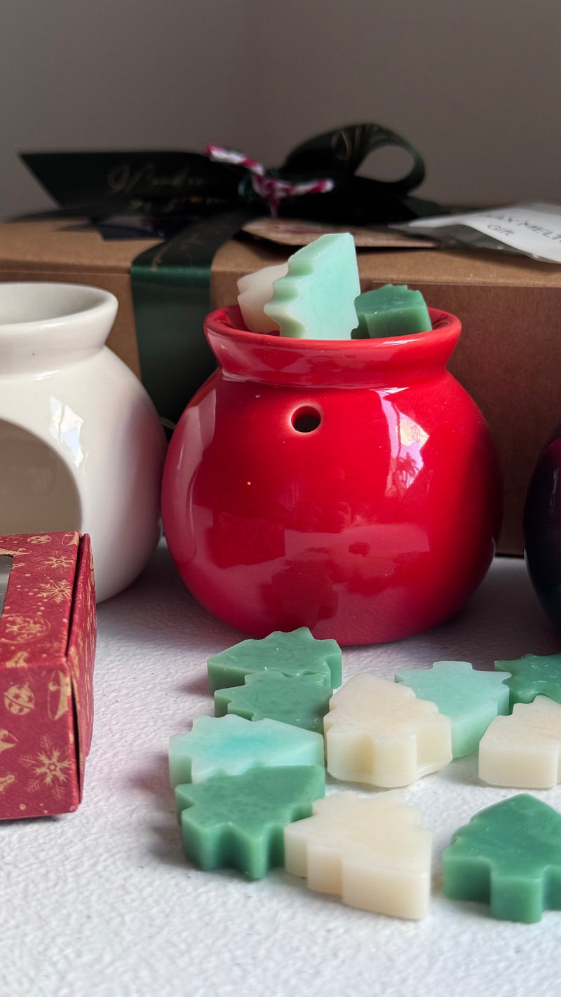 Wax melt gift set