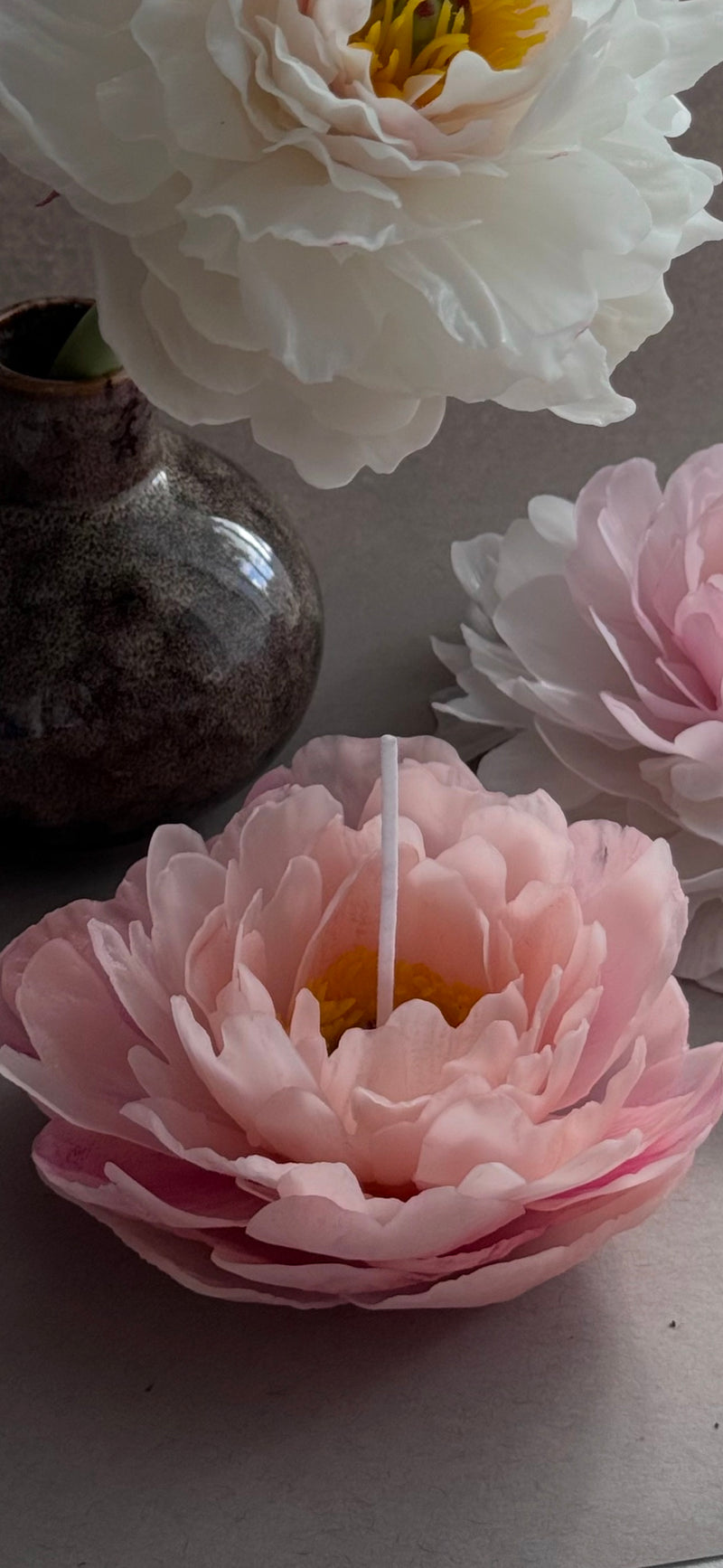 Realistic peony "coral charm"