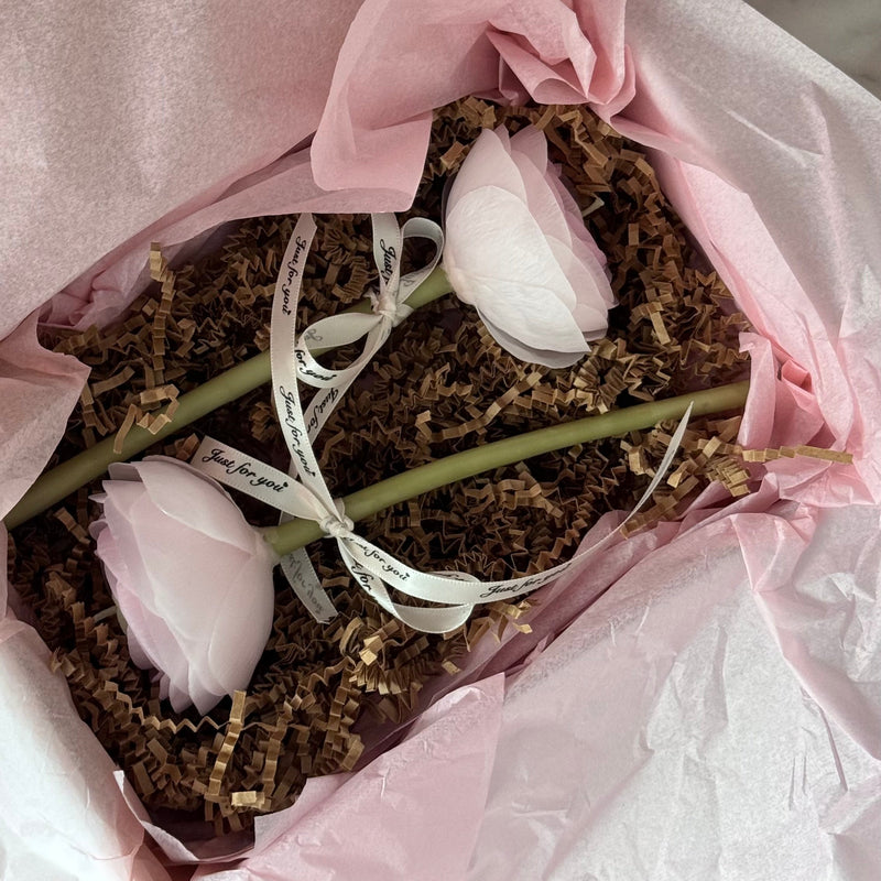 Candle-flower RANUNCULUS ON A STEM / light pink