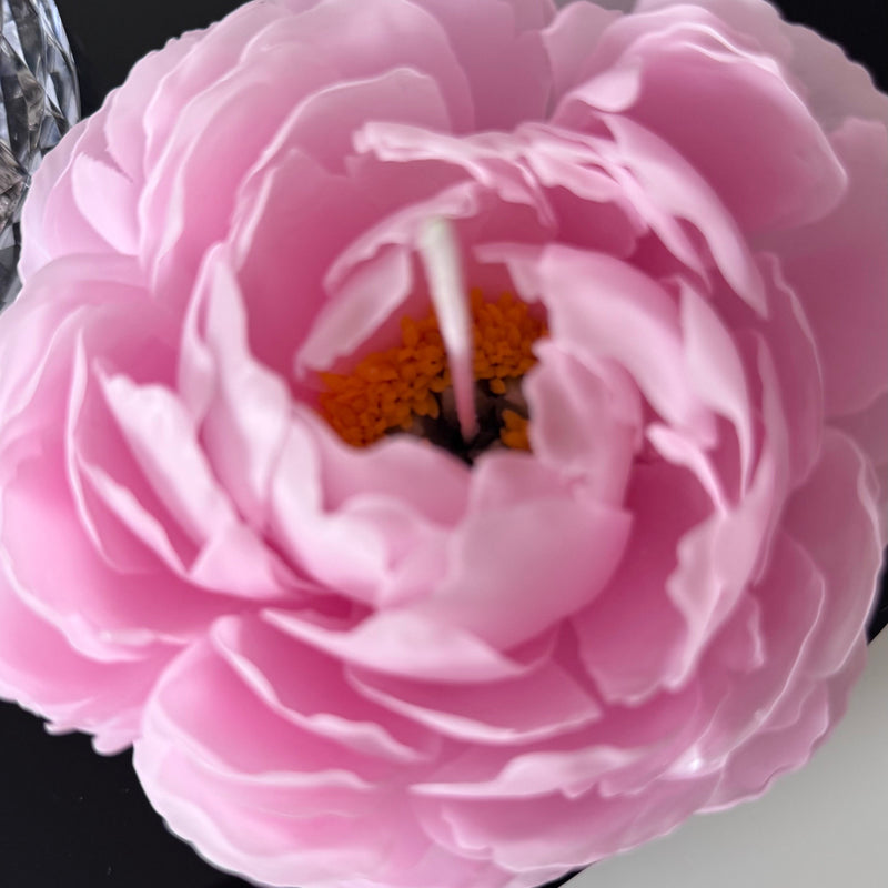 Aesthetic realistic peony