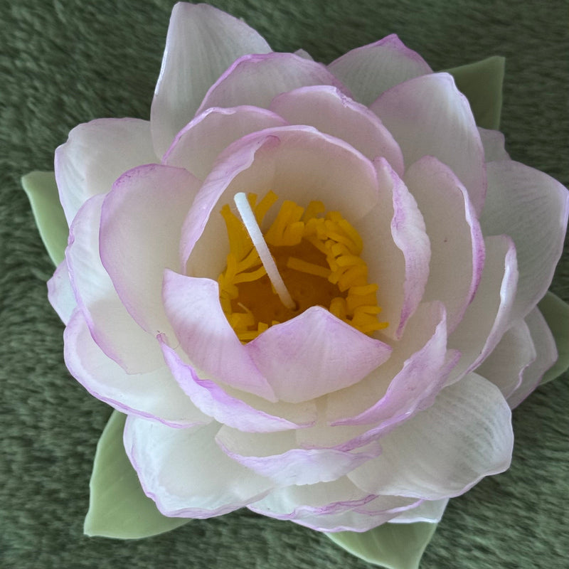 Aesthetic realistic lotus candle