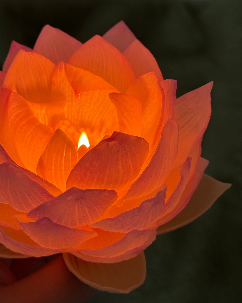 Aesthetic realistic lotus candle