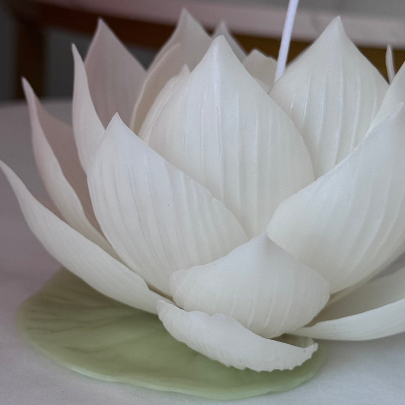Aesthetic realistic lotus candle