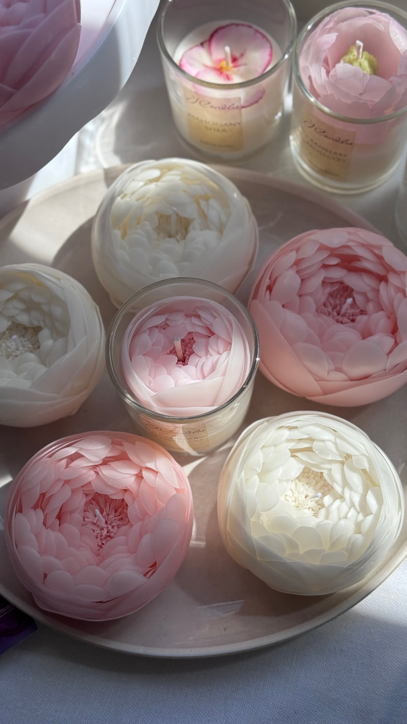Candle-flower PEONY / pink
