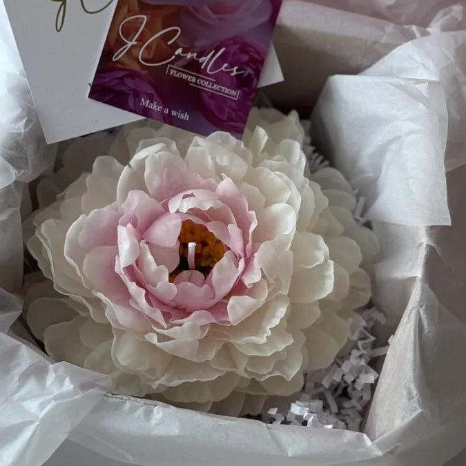 Realistic garden peony