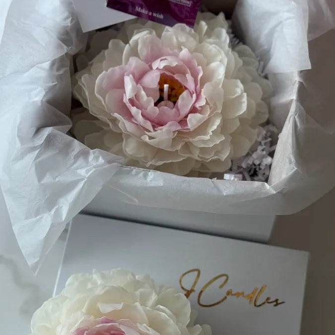 Realistic garden peony