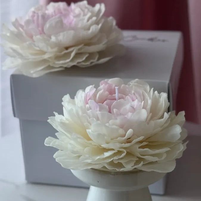 Realistic garden peony