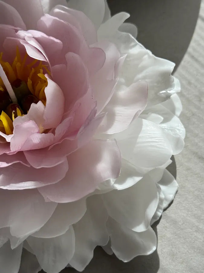 Realistic garden peony