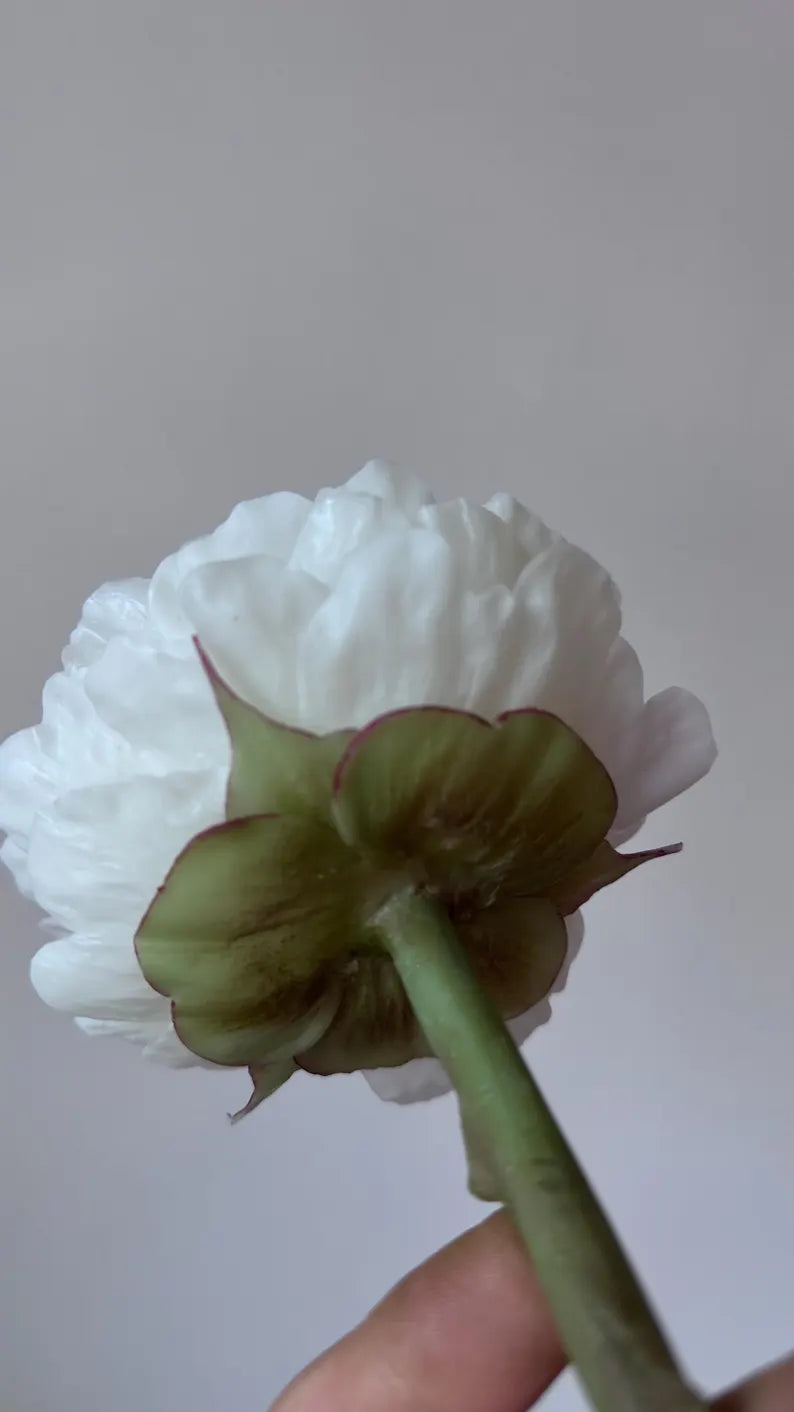 Handmade Beeswax Peony Candle: Unique Flower Gift for Her/ Valentine’s Gift