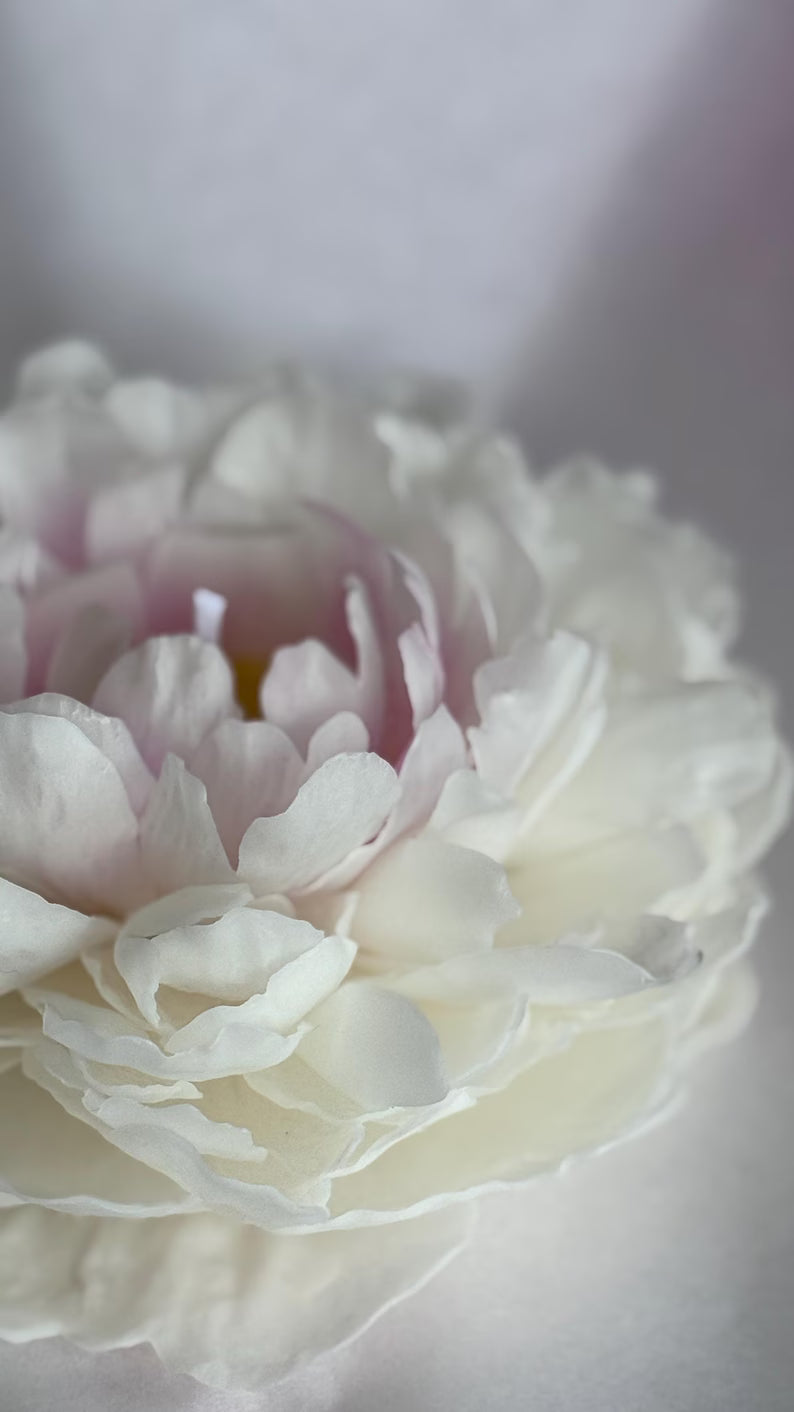 Realistic garden peony
