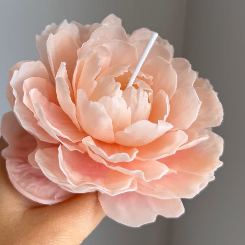 Coral Peony Beeswax Candle: Handcrafted Floral Gift for Her / Valentines Day