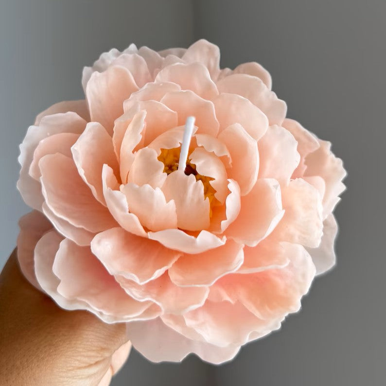 Coral Peony Beeswax Candle: Handcrafted Floral Gift for Her / Valentines Day