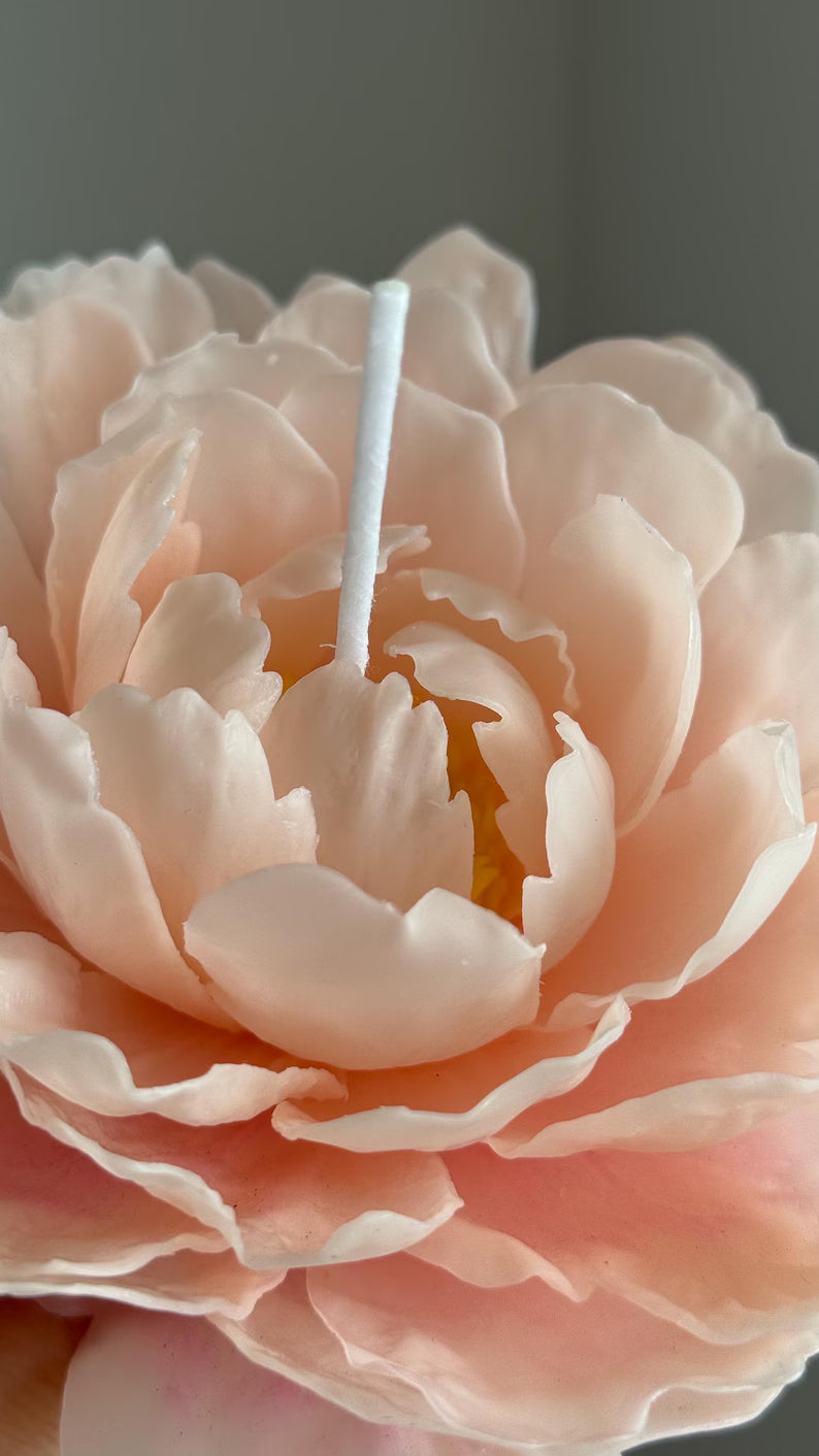 Coral Peony Beeswax Candle: Handcrafted Floral Gift for Her / Valentines Day