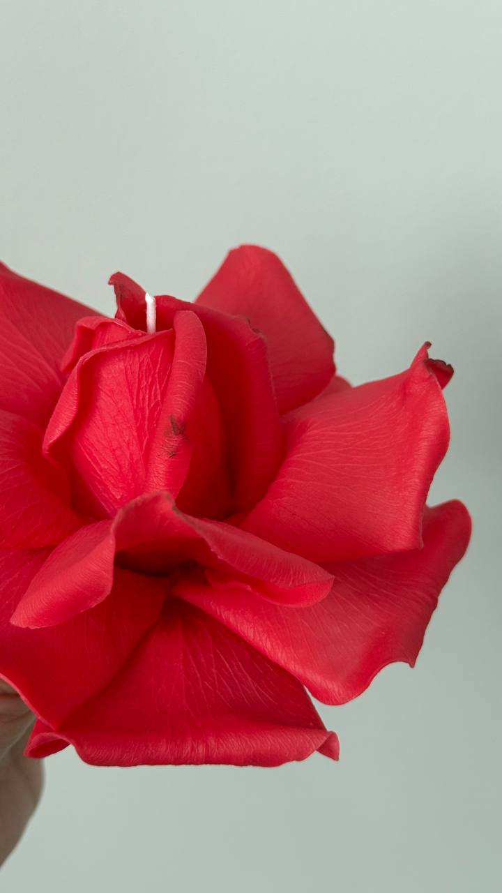 Realistic french rose candle
