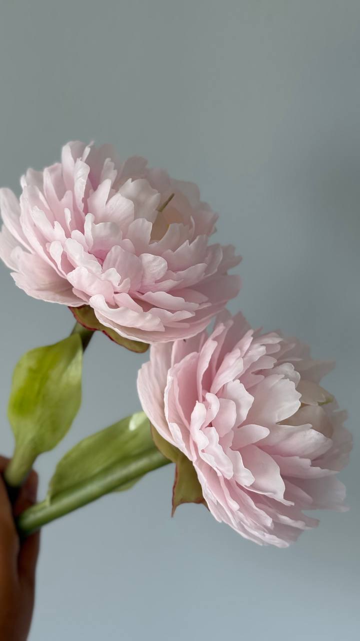 Realistic peony candle on a stem