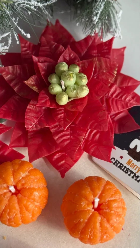 Christmas candles gift set | poinsettia + mandarins | holiday box