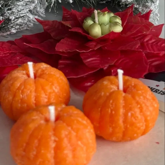 Christmas candles gift set | poinsettia + mandarins | holiday box